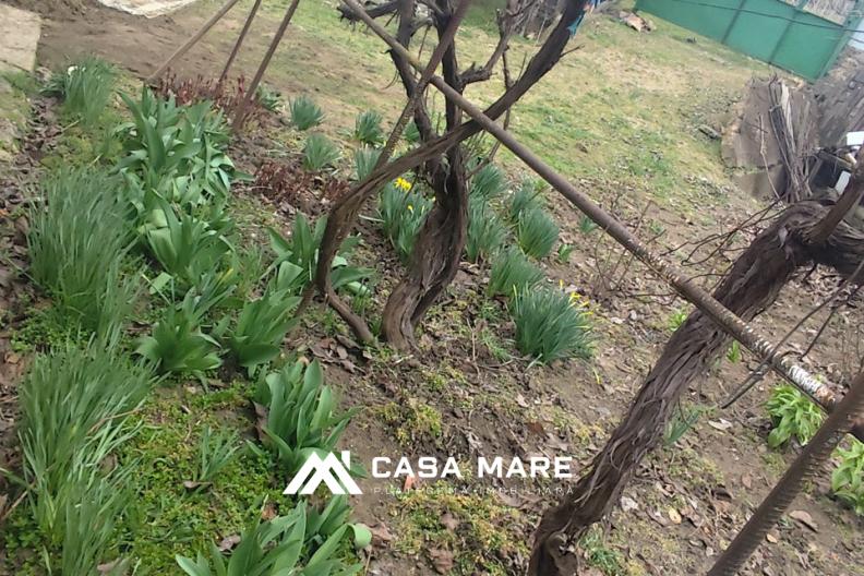 Vânzare casă | 120 m² | Cioburciu, Ștefan Vodă 10