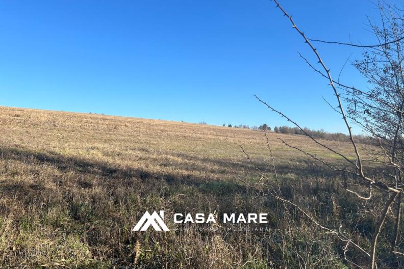 Teren Agricol de Vânzare – 4 Ari lângă Ialoveni și Iazul Danceni! 1