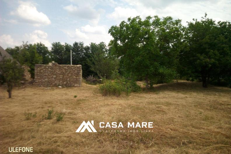 Vânzare teren pentru construcții | 15 ari | Ivancea, Orhei 7