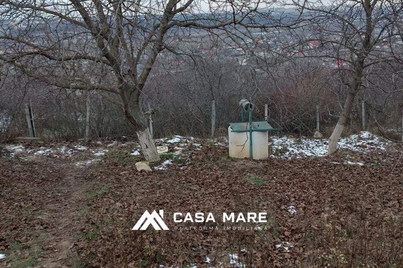 Casă spre vânzare | s. Bîc, str. Nicolae Labis 19 3