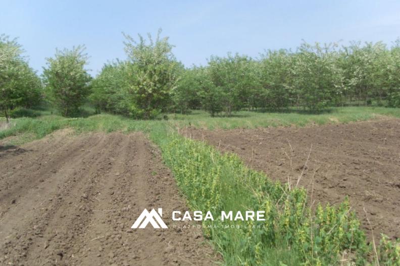 Spre vânzare teren pentru construcție | 7 ari | Băcioi, periferie 1
