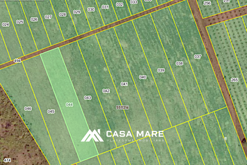 Teren agricol de 26,5 ari — zona Băcioi, Frumușica, Străisteni 1