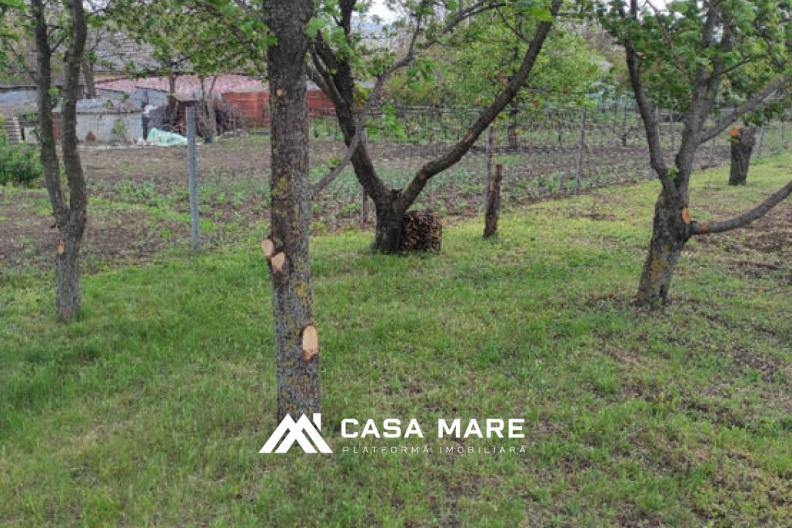 Spre vânzare teren pentru construcții | Bălți, str. Tineretului 3