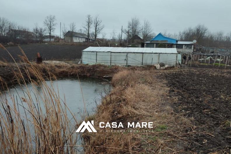 Casă cu teren spre vânzare | 0,44 ha + 1,20 ha | Ștefan Vodă, Marianca de Jos 6