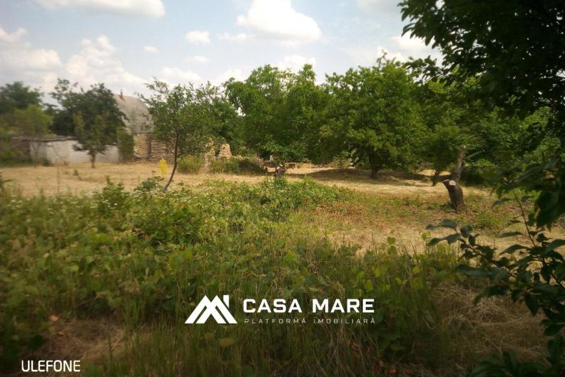 Vânzare teren pentru construcții | 15 ari | Ivancea, Orhei 9