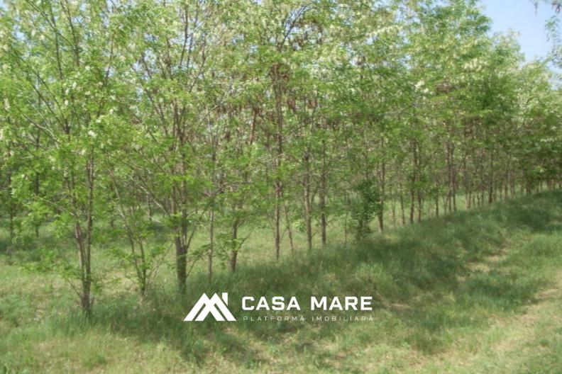 Spre vânzare teren pentru construcție | 7 ari | Băcioi, periferie 2