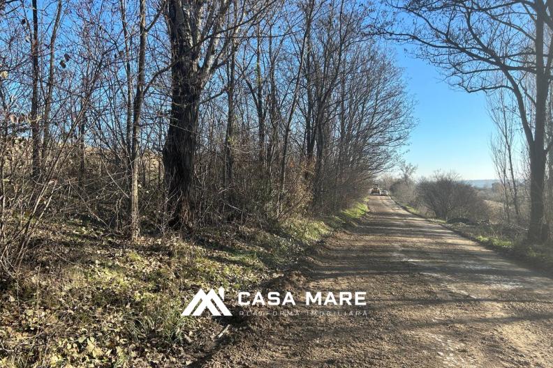 Teren Agricol de Vânzare – 4 Ari lângă Ialoveni și Iazul Danceni! 3