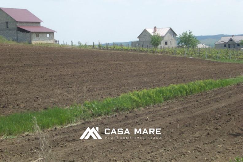 Spre vânzare teren pentru construcție | 7 ari | Băcioi, periferie 3