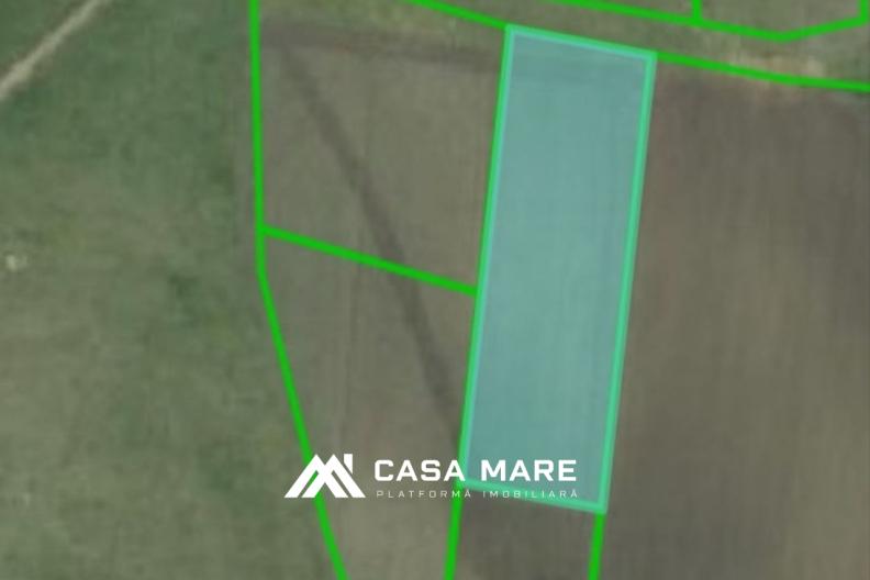 Spre vânzare teren agricol, 30 ari | Dobrogea, lângă iaz 1