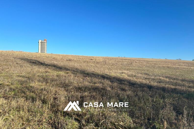 Teren Agricol de Vânzare – 4 Ari lângă Ialoveni și Iazul Danceni! 2