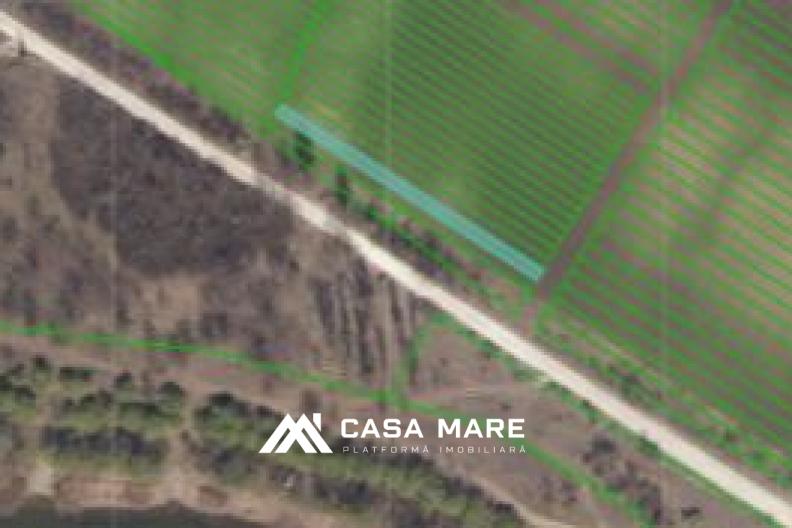 Teren Agricol de Vânzare – 4 Ari lângă Ialoveni și Iazul Danceni! 4