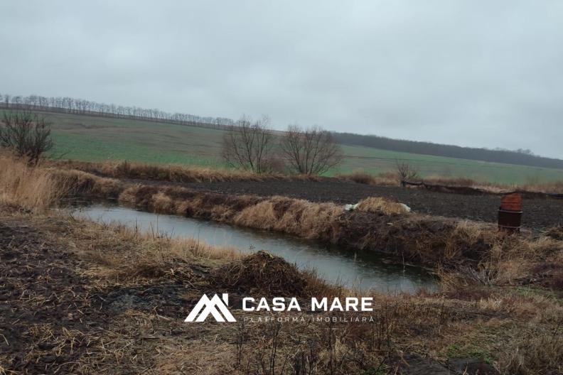 Casă cu teren spre vânzare | 0,44 ha + 1,20 ha | Ștefan Vodă, Marianca de Jos 5