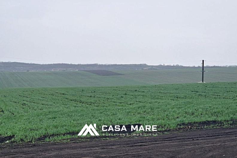 Teren agricol de 22,94 ari cu acces la traseul M3 2