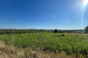 Se vinde teren de 10 ari – satul Floreni, lângă orașul Sângera!