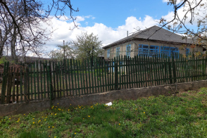 Vânzare casă și teren | 11 ari | Rezina, str. Vasile Lupu 15