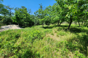 Vânzare teren | 12 ari | Stăuceni (IP Buruiana), str-la Dimitrie Cantemir