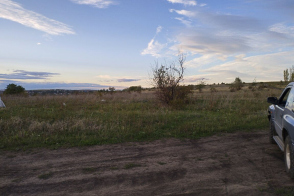 Teren, 10 ari, Bubuieci