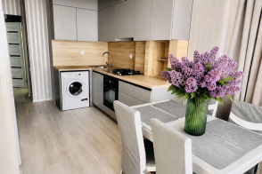 Vânzare apartament cu 1 cameră | 40 m² | Centru (Malina Mică), str. N. Testemițanu