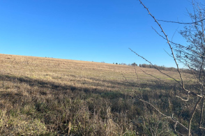 Teren Agricol de Vânzare – 4 Ari lângă Ialoveni și Iazul Danceni!