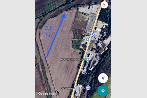 Vânzare teren agricol | 2.5 ha | Sîngera, str. Florilor, 26
