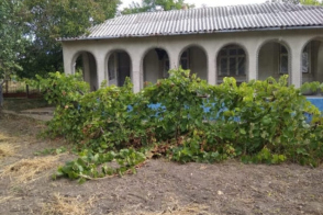 Vânzare casă individuală | 100 m² | Mihăileni, str. Școlii, 5