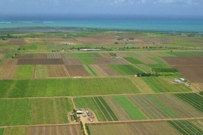 Teren agricol spre vânzare | 1,1851 ha | Criuleni, Hrușova!
