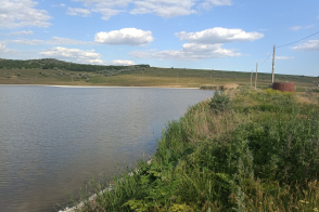 Vânzare iaz (teren cu destinație specială) | 34 ha | Fălești, Albinețul Vechi