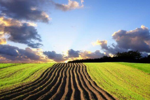 Teren agricol spre vânzare | 0,4958 ha | Criuleni, Hrușova!