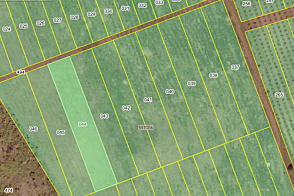 Teren agricol de 26,5 ari — zona Băcioi, Frumușica, Străisteni