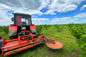 Vânzare teren agricol | 2.84 ha (284 ari) | Anenii Noi, Țînțăreni