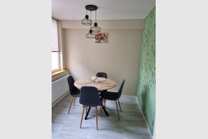 Apartament cu 1 cameră în chirie | Chișinău, Centru, str. Alexandru cel Bun 96