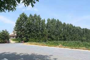 O oportunitate excelentă de investiție – teren agricol situat în prima linie