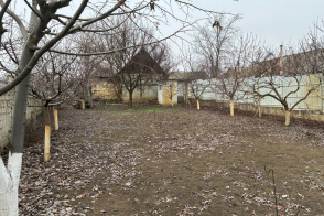 Teren spre vânzare | 8 ari | Cimișlia, str. Alexandru cel Bun 127