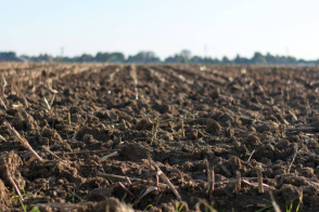 Teren agricol spre vânzare | 2,5 ha | Cenac