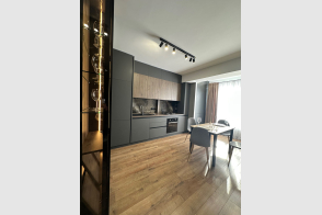 Vânzare apartament 1 cameră și living | 45 m² | Ciocana, bd. Mircea cel Bătrân 45