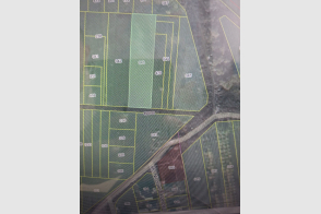 Spre vânzare teren agricol | 30 ari | Ialoveni, regiunea Livada