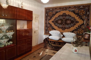 Casă cu teren spre vânzare | 27 ari | Edineț, Terebna