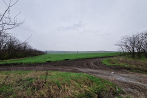 Teren agricol 20,32 ari — zona Băcioi, Frumușica, Străisteni