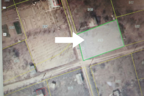 De vânzare – Lot pomicol de 5,9 ari – satul Cobusca Nouă, r-nul Anenii Noi!