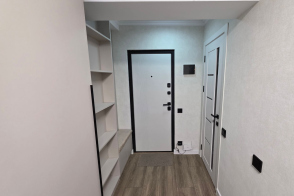 Vânzare apartament cu 1 cameră | 30 m² | Botanica, bd. Decebal 1