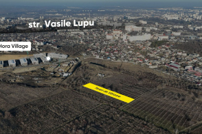 Vânzare teren grădină | 36 ari | Buiucani, str. Gheorghe Codreanu 77B
