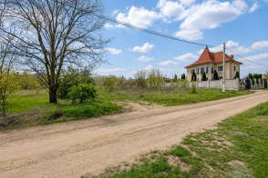 Vânzare teren pentru construcții | 12 ari | Trușeni, str. Dumbrava, 21