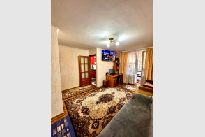 Spre vânzare apartament cu 1 cameră | Botanica, str. Nikolai Zelinski 2