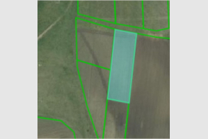 Spre vânzare teren agricol, 30 ari | Dobrogea, lângă iaz