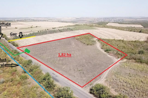 Spre vânzare teren agricol cu potențial industrial/turistic | Dolinnoe, r. Criuleni