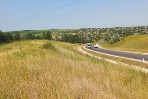 Teren agricol spre vânzare | 55 ari | Cimișlia
