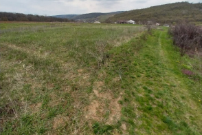 Spre vânzare teren pentru grădină | 11,62 ari | Orhei, com. Vatici