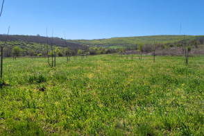 Vânzare teren agricol | 38 ari | Strășeni, Făgureni