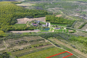 Vânzare teren agricol | 32 ari | Suruceni, lângă mănăstire