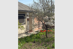 Vânzare casă + Spațiu comercial | 200 m² | Anenii Noi, str-la Uzinelor, 22